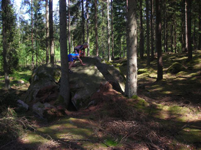 SPA Trollstugan forest