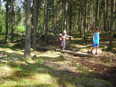 SPA Trollstugan skog